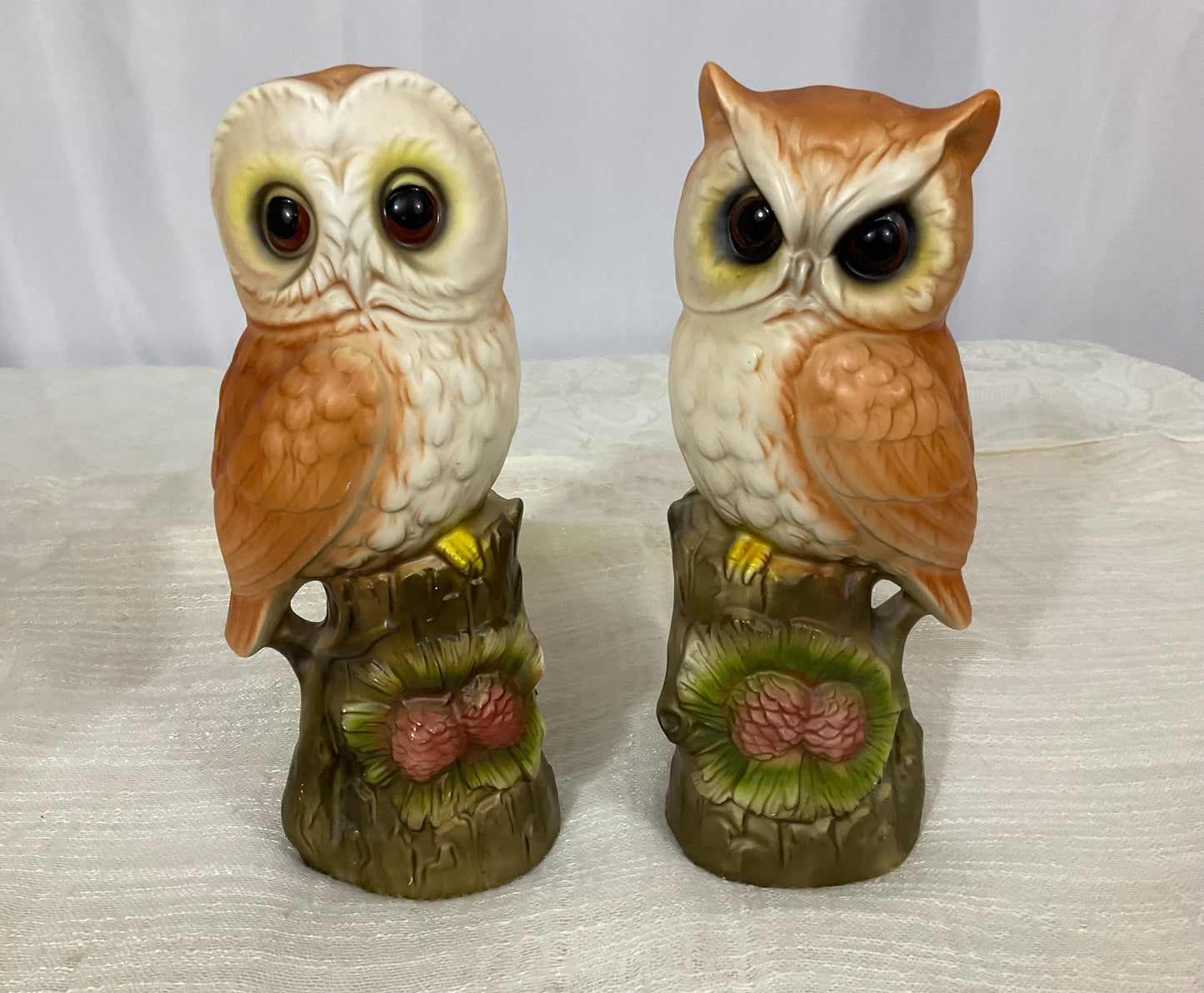 Owl Set
