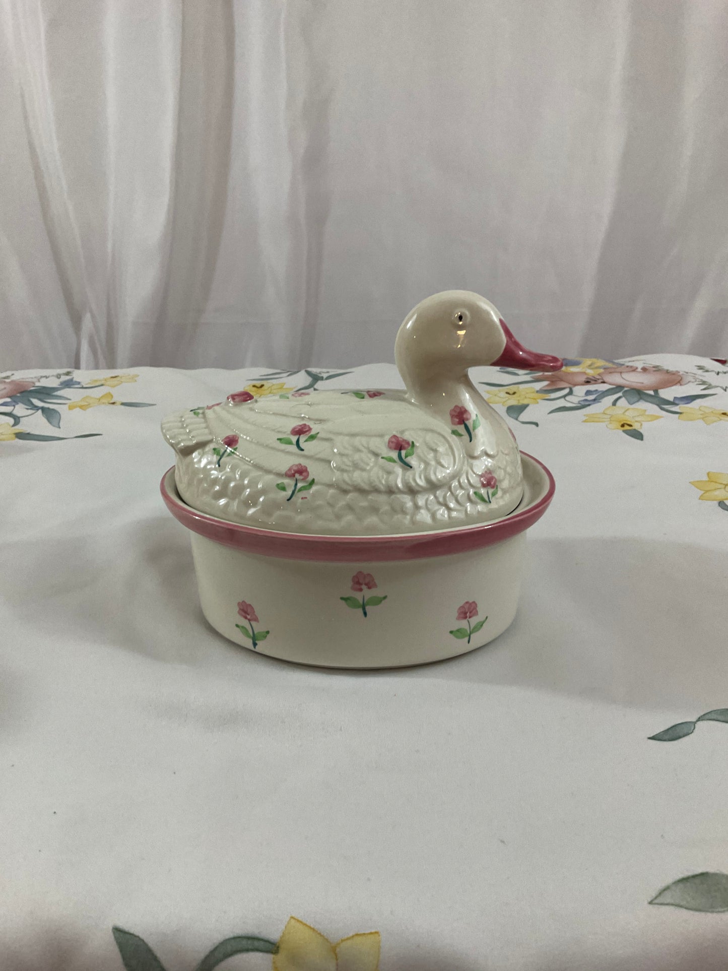 Nesting Duck