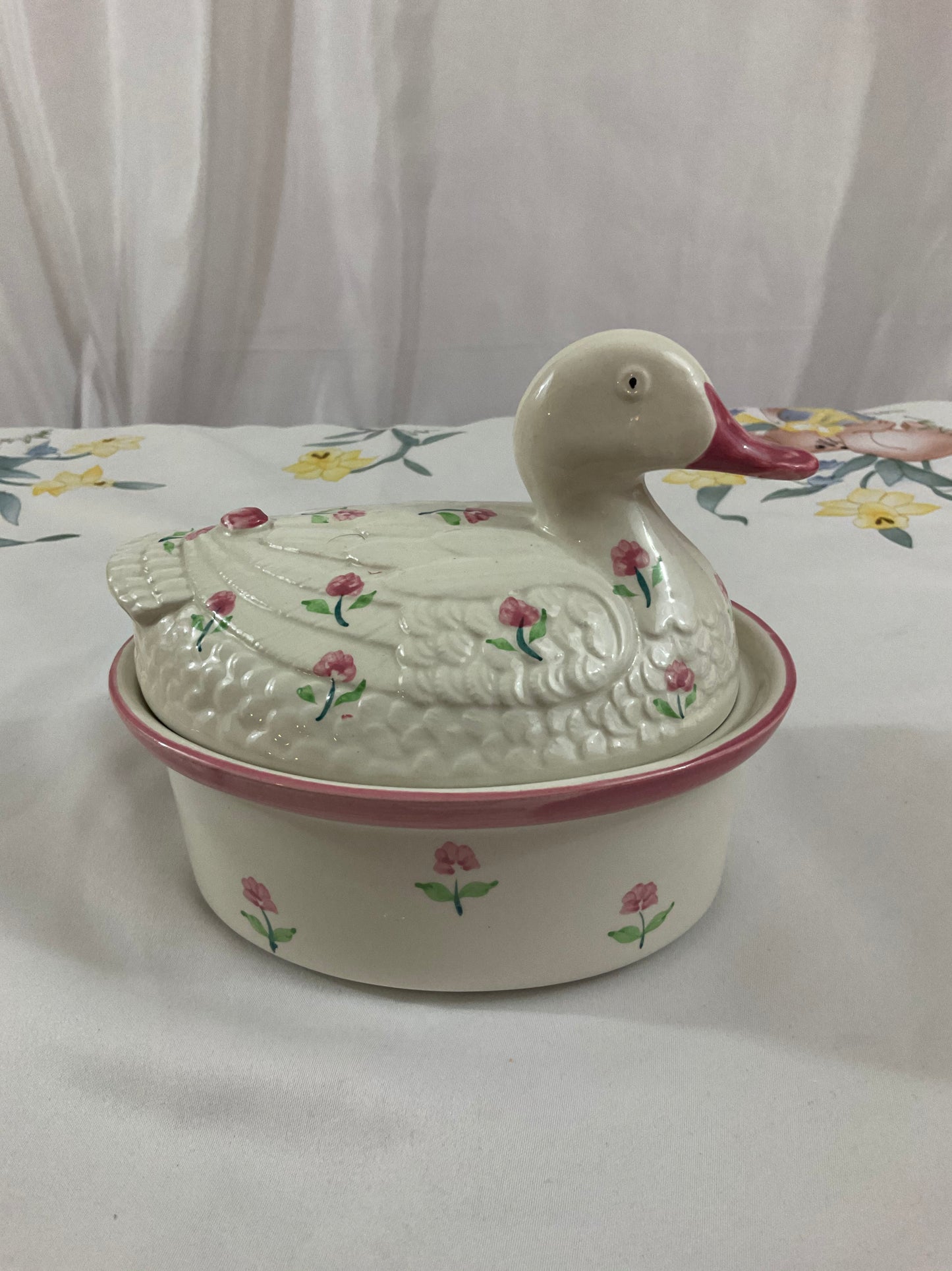 Nesting Duck