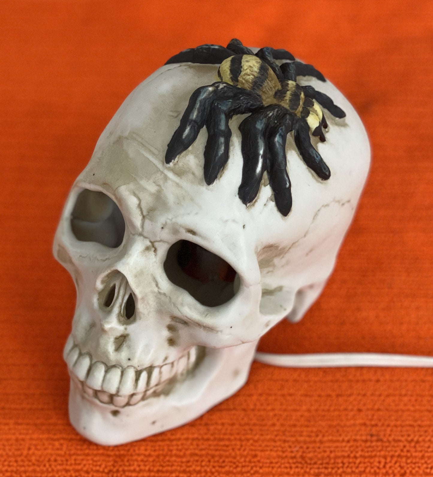 Seasonal-Halloween Ceramic Skull with Spider on Top of Skull Electric-Illumination Approx 5” H x 3.5 Wide Made in Taiwan