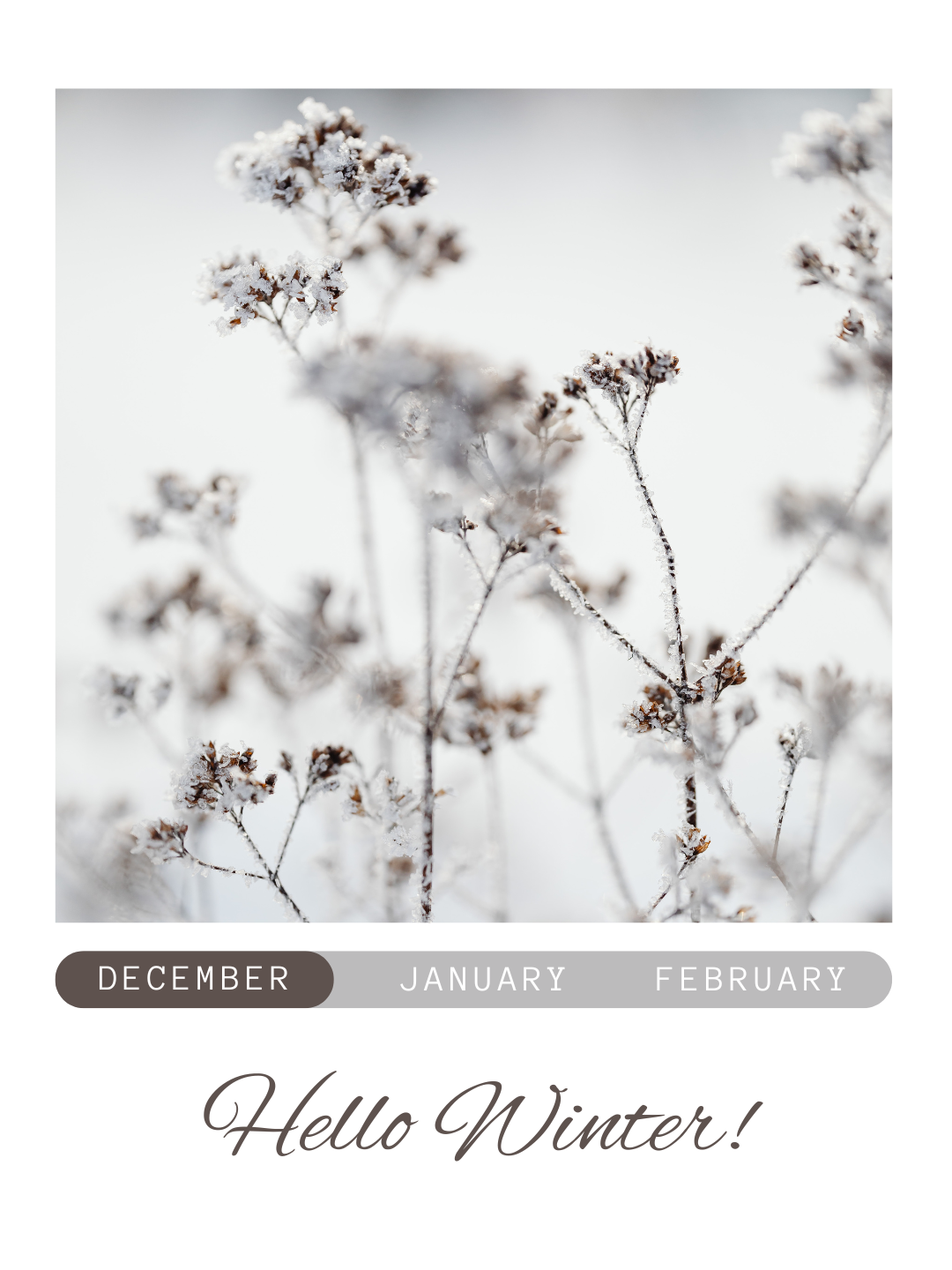 CELEBRATE THE SEASON: CHRISTMAS CHEER & NEW YEAR STYLE