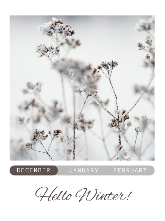 CELEBRATE THE SEASON: CHRISTMAS CHEER & NEW YEAR STYLE