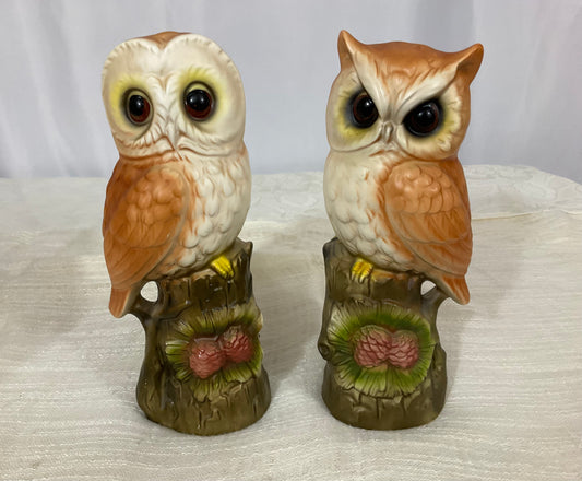 Owl Set